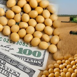 Dólar agro | Foto:ChatGPT