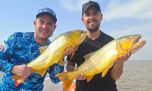 Festival de piques con dorados al por mayor en Cayastá