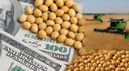 Dólar agro