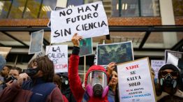El CONICET se despide de algas, moluscos y "estrellas culonas": cómo ver el último streaming en vivo - Image 3