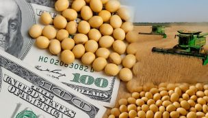 Dólar agro