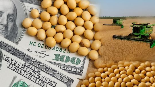 El campo liquidó US$ 2.750 millones en agosto: cayó frente a julio pero dio un salto importante respecto al 2025