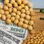 Dólar agro