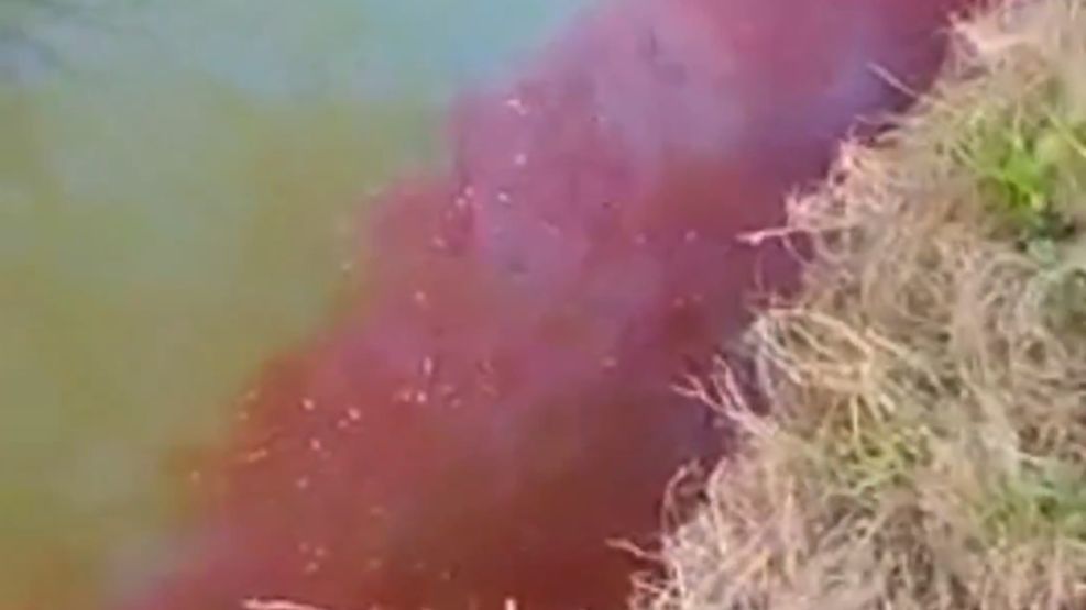 El río Areco tiñó sus aguas de rojo y preocupa la contaminación
