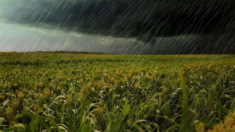 Lluvia en el Agro