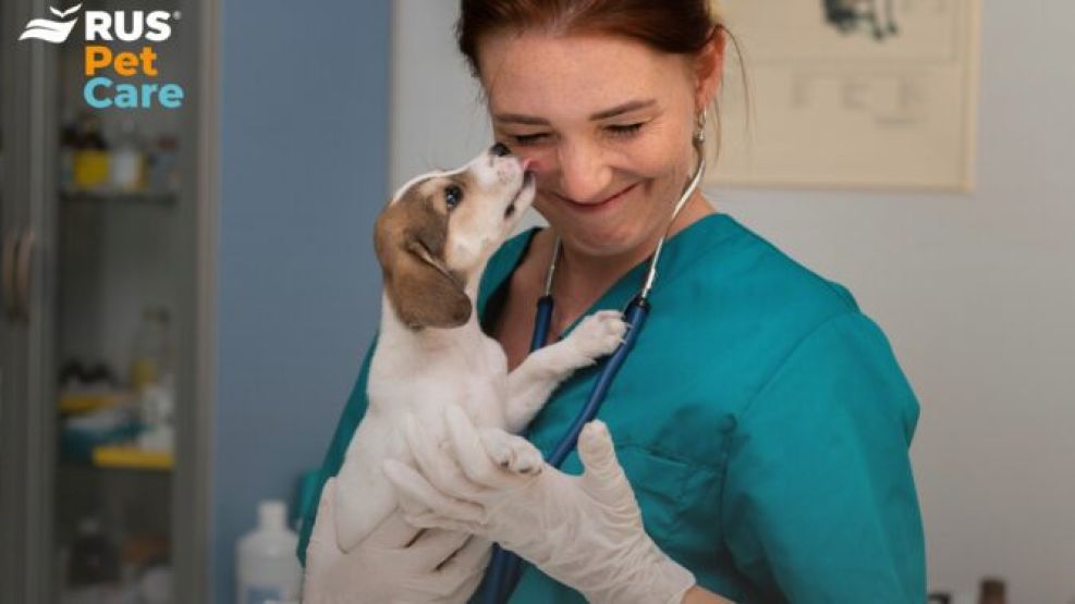 Seguro de Salud para Mascotas