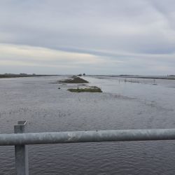 Agosto abrió con buenos resultados de pesca en gran parte del país. 