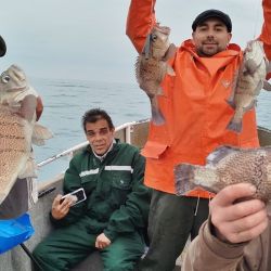Agosto abrió con buenos resultados de pesca en gran parte del país. 