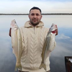 Agosto abrió con buenos resultados de pesca en gran parte del país. 