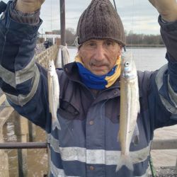 Agosto abrió con buenos resultados de pesca en gran parte del país. 