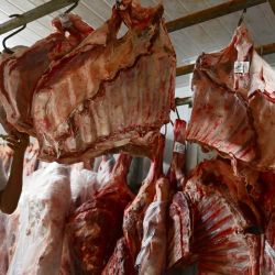 Un empleado organiza las reservas de cortes de carne en una carnicería, en Brasilia, Brasil. Brasil puede perder hasta 0,20 puntos porcentuales de su Producto Interno Bruto en 2025 y 0,38 en 2026, debido a los aranceles del 50 por ciento aplicados por Estados Unidos a productos brasileños, según estimaciones divulgadas por la Federación de Industrias del Estado de Sao Paulo. | Foto:Xinhua/Lucio Tavora