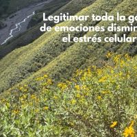 “El cuerpo como mensajero”
