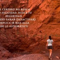 “El cuerpo como mensajero”