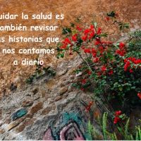 “El cuerpo como mensajero”