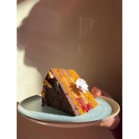 Plant Based Cakes