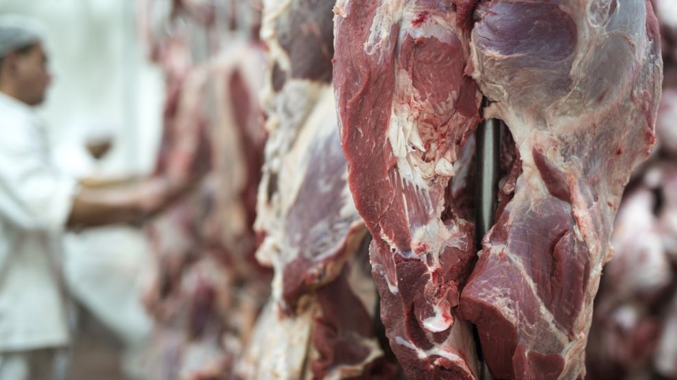 Chile suspende la importación de carne de la Patagonia argentina