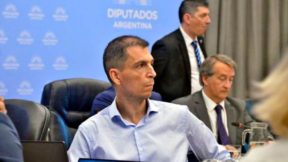 Luis Picat - Diputados