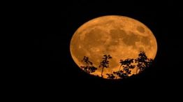 Luna de Esturión