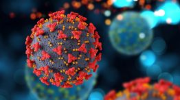 Virus Covid nuevo