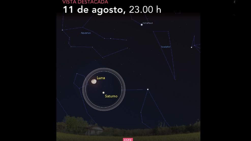 noche espectaculo