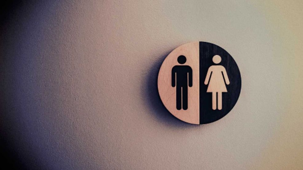 10_08_2025_genero_sexo_cedoc_g