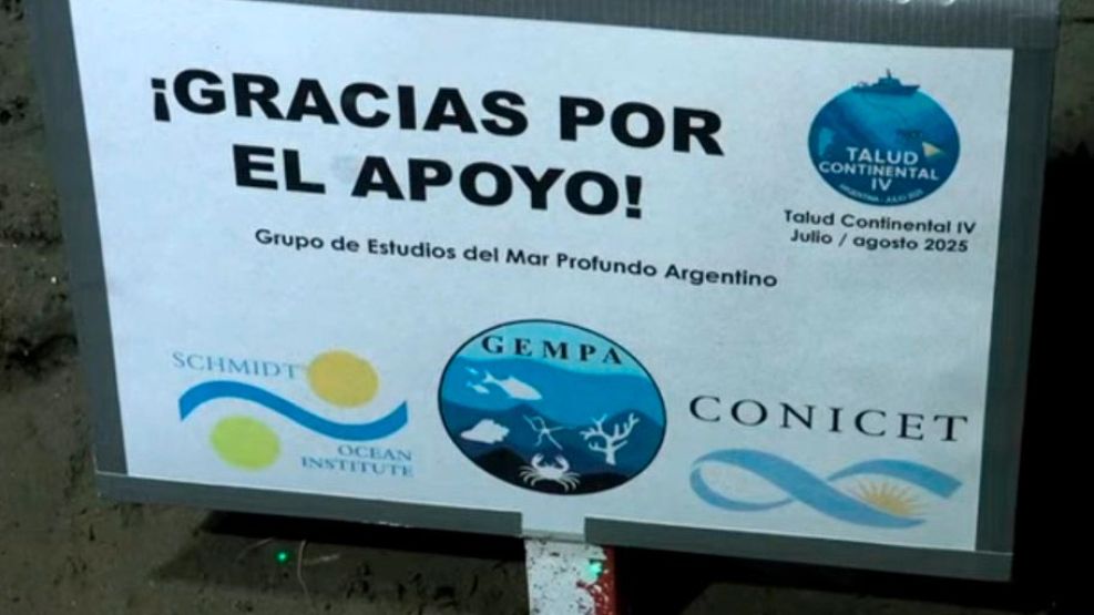 El CONICET se despide de algas, moluscos y "estrellas culonas": cómo ver el último streaming en vivo