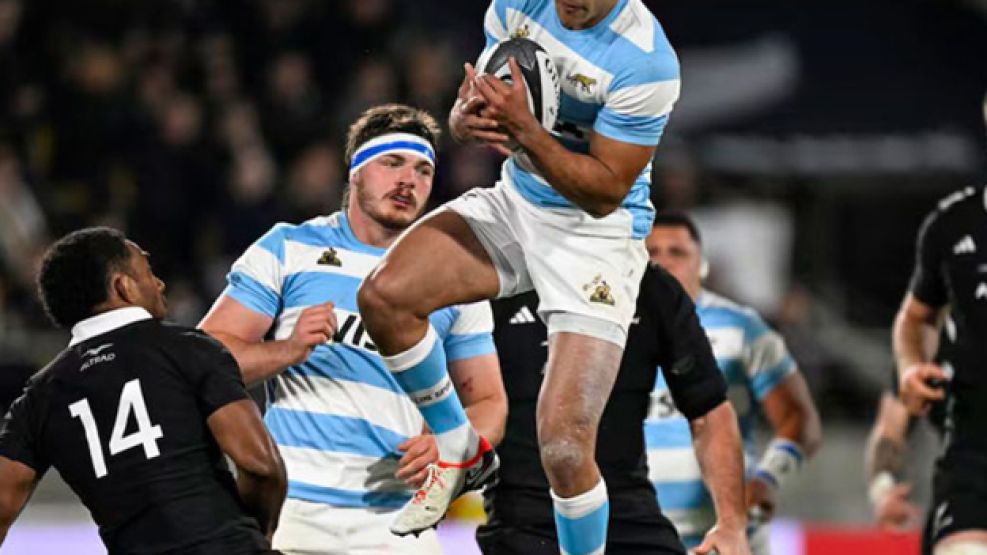 Los Pumas