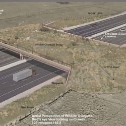 El puente permitirá que los animales crucen una de las autopistas más transitadas de Colorado sin peligro.