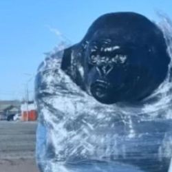 Plaza de los dinosaurios | Foto:CEDOC