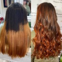 Bella Parrucchiere: La pasión por la belleza y la atención personalizada 