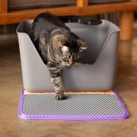 Mascotas Mimadas: la empresa que está revolucionando el mundo pet con las propuestas más originales 