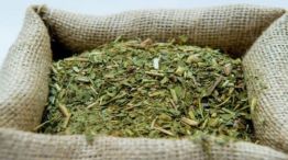 Productores yerbateros en crisis: por qué sufren a partir de los precios bajos y los costos en alza