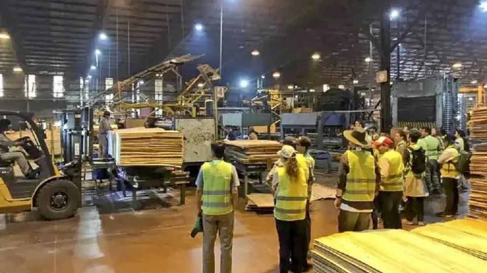 Forestadora tapebicua