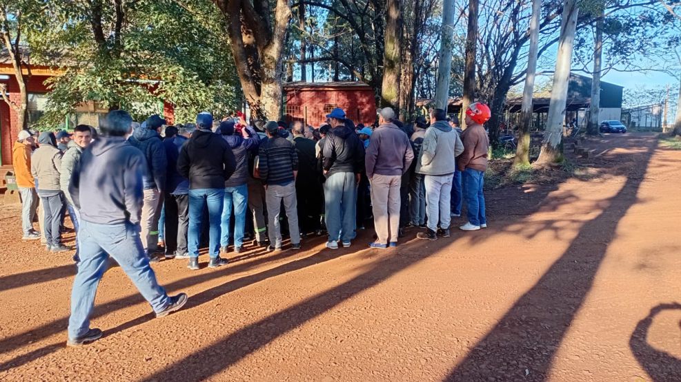 Forestadora Tapebicuá