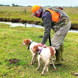 Debido al clima, las perras comenzaron a alejarse del rango de distancia con el cazador. Las llamamos, las calmamos con caricias y, mágicamente, volvieron a trabajar cerca. El laceo de Mía y Alice fue impecable. 