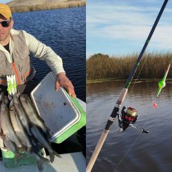 No es una laguna de las más accesibles para los pescadores pero que permite lograr esas piezas que hoy en día no abundan en la provincia de Buenos Aires. 