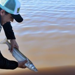 Los buenos portes se llevaron la mirada de los presentes, con un podio completo con ejemplares de más de 50 CM. 