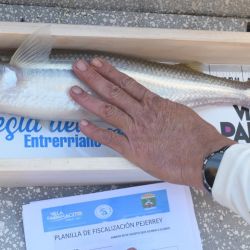 Los buenos portes se llevaron la mirada de los presentes, con un podio completo con ejemplares de más de 50 CM. 