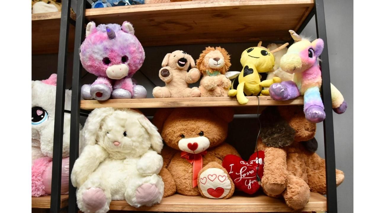 EME, los peluches inteligentes de San Juan que conquistaron a grandes y chicos
