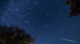 1208_perseidas