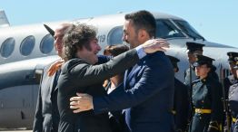 Javier Milei Luis Petri