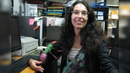 Patricia Folgarait, doctora en biología: “La colonia más grande de la Hormiga Argentina tiene tiene 6 mil kilómetros de longitud”