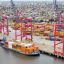 Argentina’s exports to China down 15% year-on-year in first half of 2025
