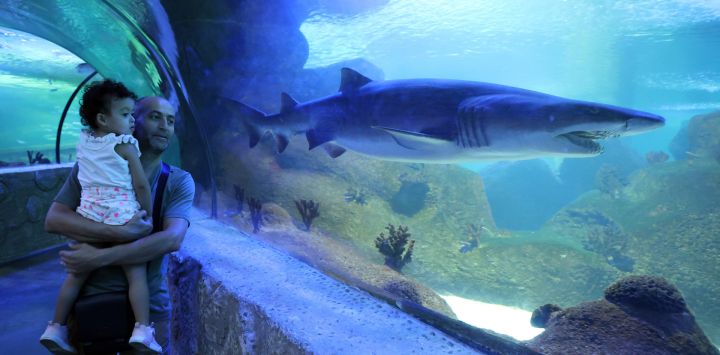 Imagen de personas visitando el acuario Aqua Vega, en Ankara, Turquía.
