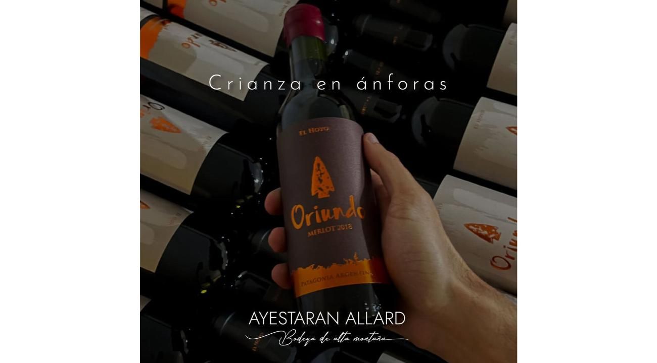 Bodega Ayestarán Allard: innovación con alma patagónica