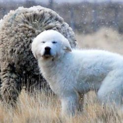 Estancia Monte Dinero y Parador Ruta 40, en el extremo sur del país.