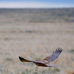 Estancia Monte Dinero y Parador Ruta 40, en el extremo sur del país.