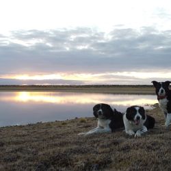 Estancia Monte Dinero y Parador Ruta 40, en el extremo sur del país.