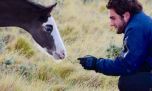 La aventura de compartir la vida de campo en la estancia más austral del continente