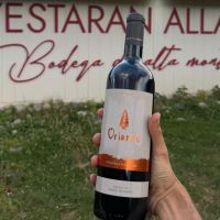 Bodega Ayestarán Allard: innovación con alma patagónica